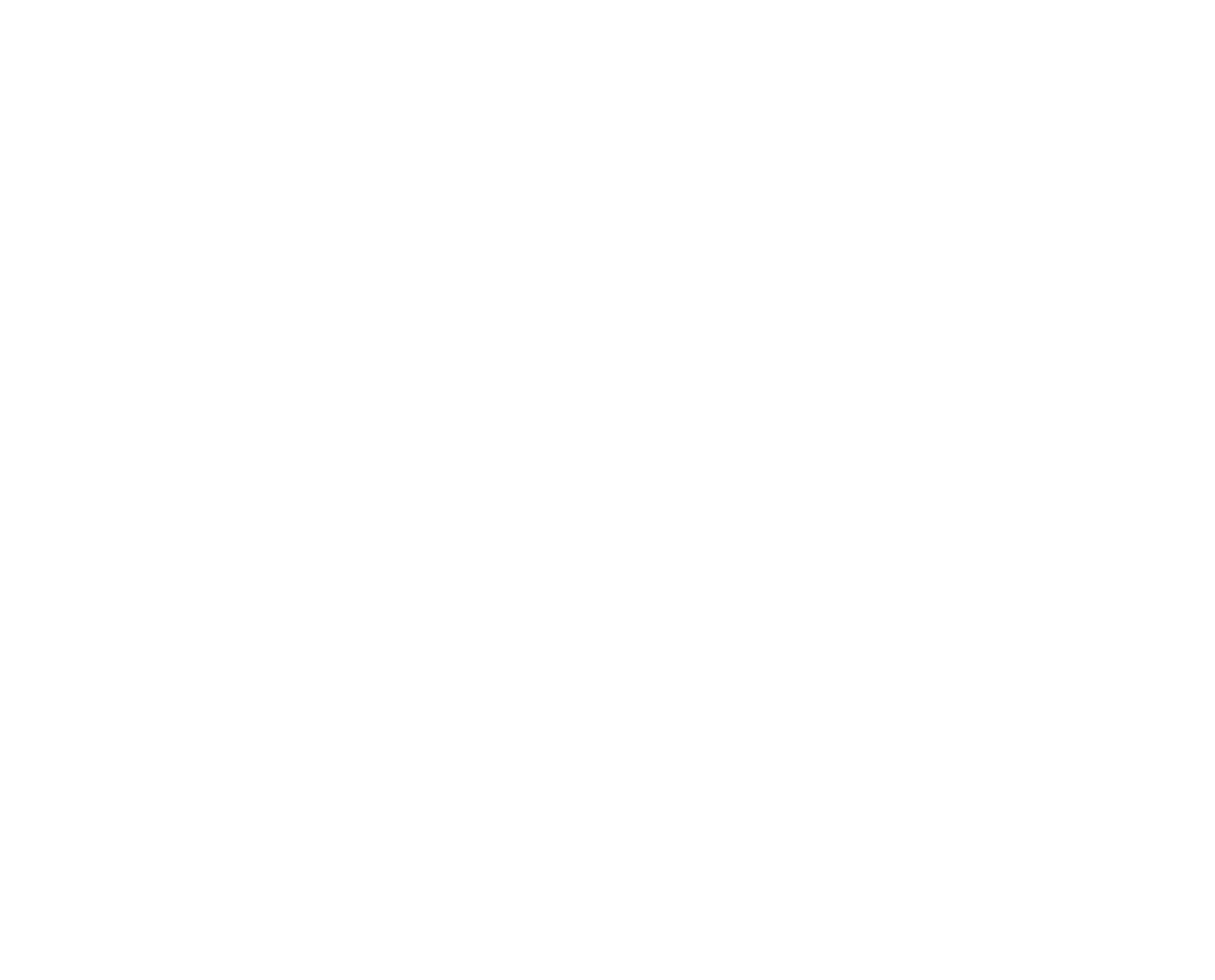 Diving Plus Logo